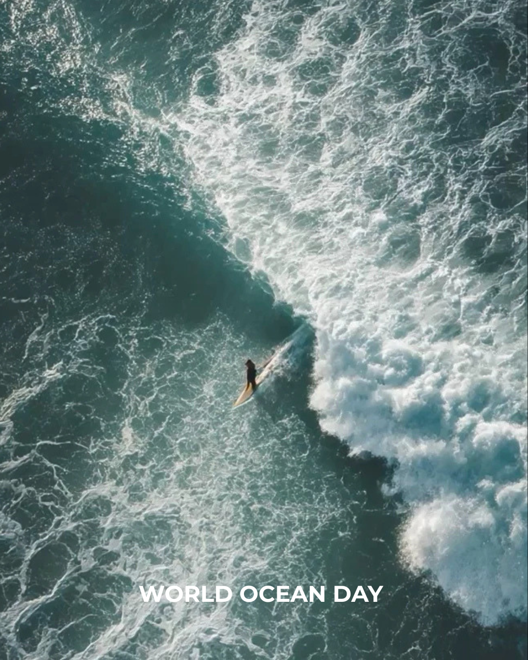 N°91: World Oceans Day: Every Wave Tells a Story of Renewal