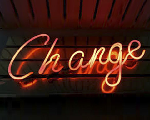 N.36 | Sie wollen die Welt verändern? Und wo fangen Sie in Ihrem Unternehmen an?