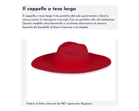 20.09.23 – Unser Fedora-Hut erscheint auf DONNAMODERNA.COM