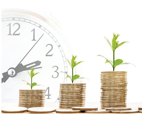 N. 31 | ENERGIE UND UMWELT, WAS GIBT ES NEUIGKEITEN IM HAUSHALTSGESETZ 2019