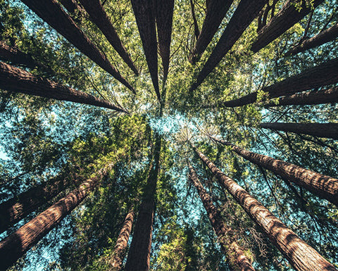 ETHISCHE MODE: WAS ES IST UND WARUM WIR SIE NICHT IGNORIEREN KÖNNEN