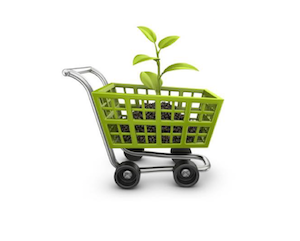 NACHHALTIGKEIT DER LEDER-LIEFERKETTE UND UMWELTFREUNDLICHE ÖFFENTLICHE BESCHAFFUNG