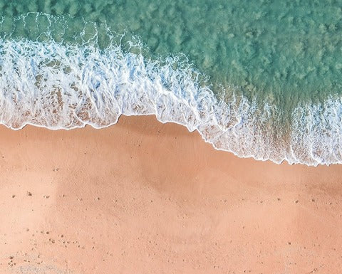 Nr. 52 | 28. Juni - Weltnaturschutztag